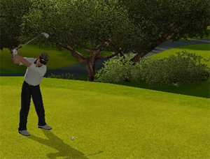 Tiger Woods PGA Tour 09 All-Play (Wii) Review