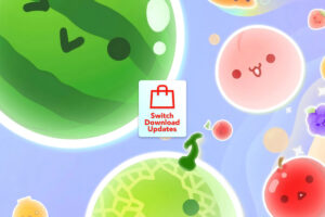 Nintendo Download Updates (W2) Suika Start