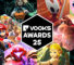 The Vooks Awards 2025 – The Best of Switch, Switch 2, the big news, and surprises of the year